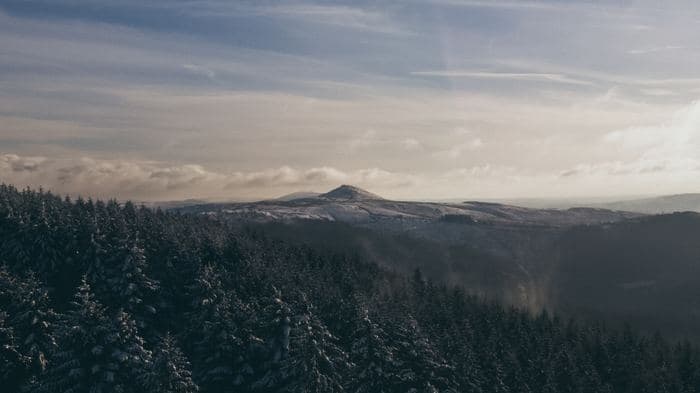 Snow Capped Peak Forest View