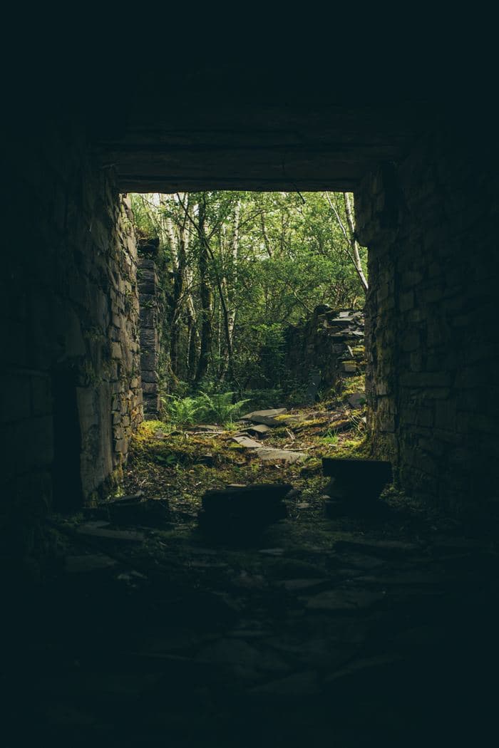 Stone Ruin Forest Doorway
