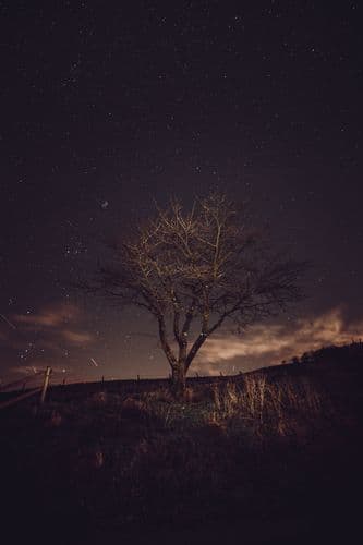 Seven Sisters