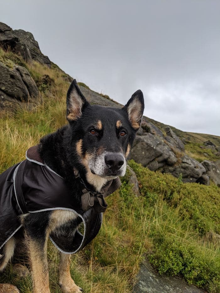 A Soggy Boy