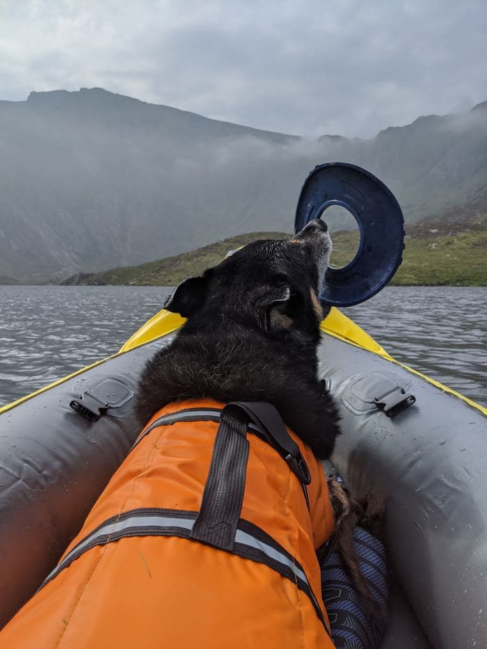 Rex Kayaking