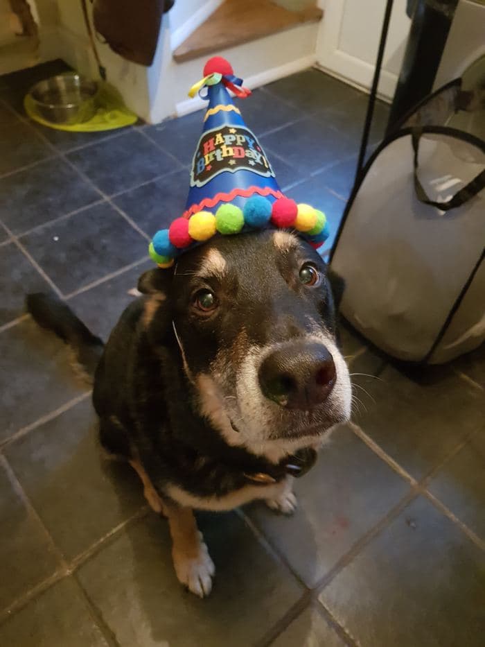 Birthday Boy
