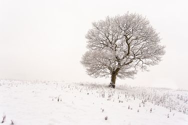 Cold Shutlins