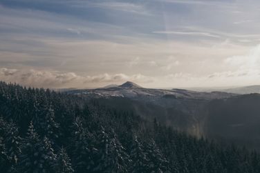 Vast Shutlins