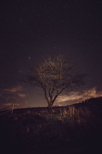 Seven Sisters