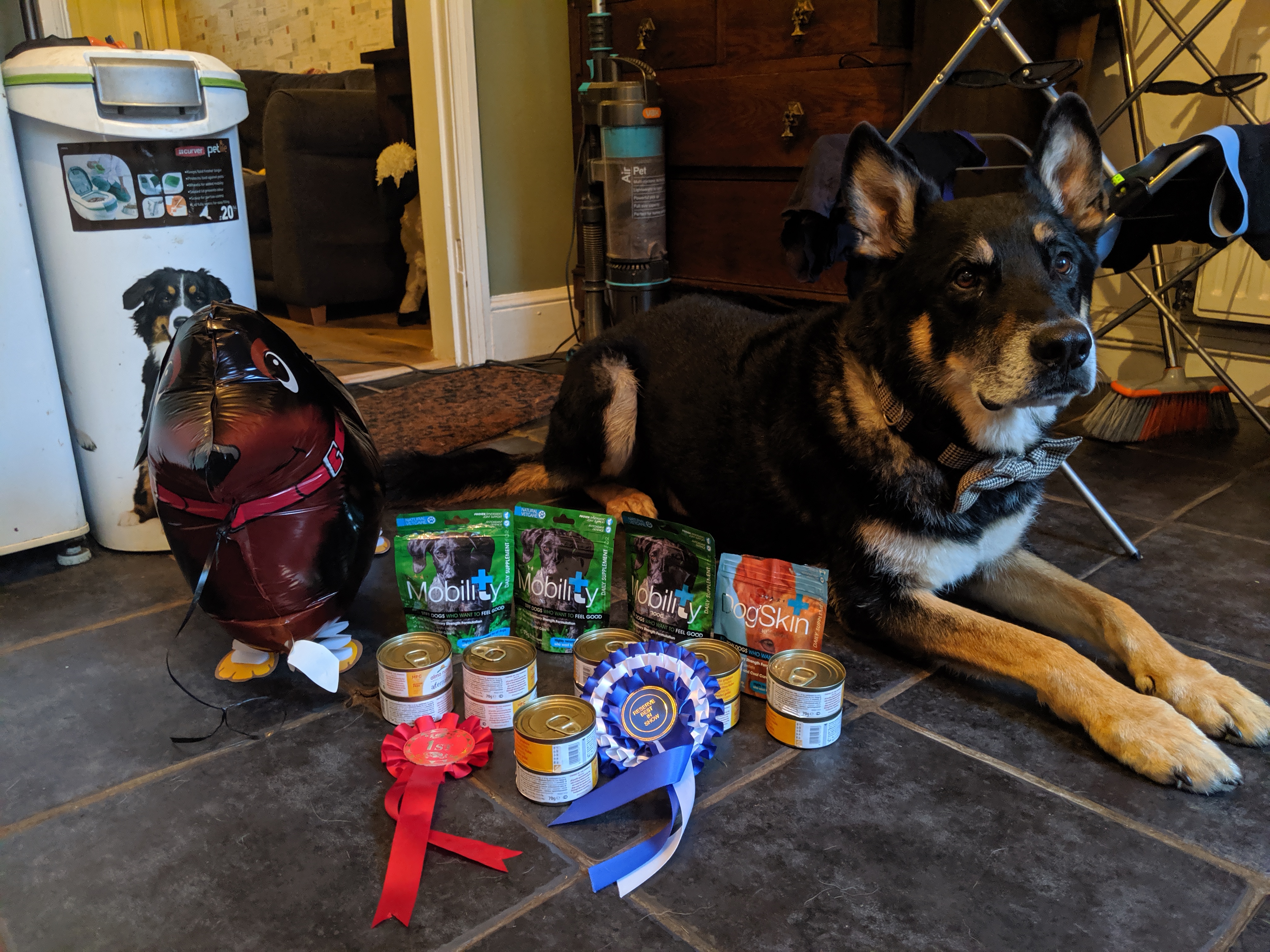 Rex and his prizes