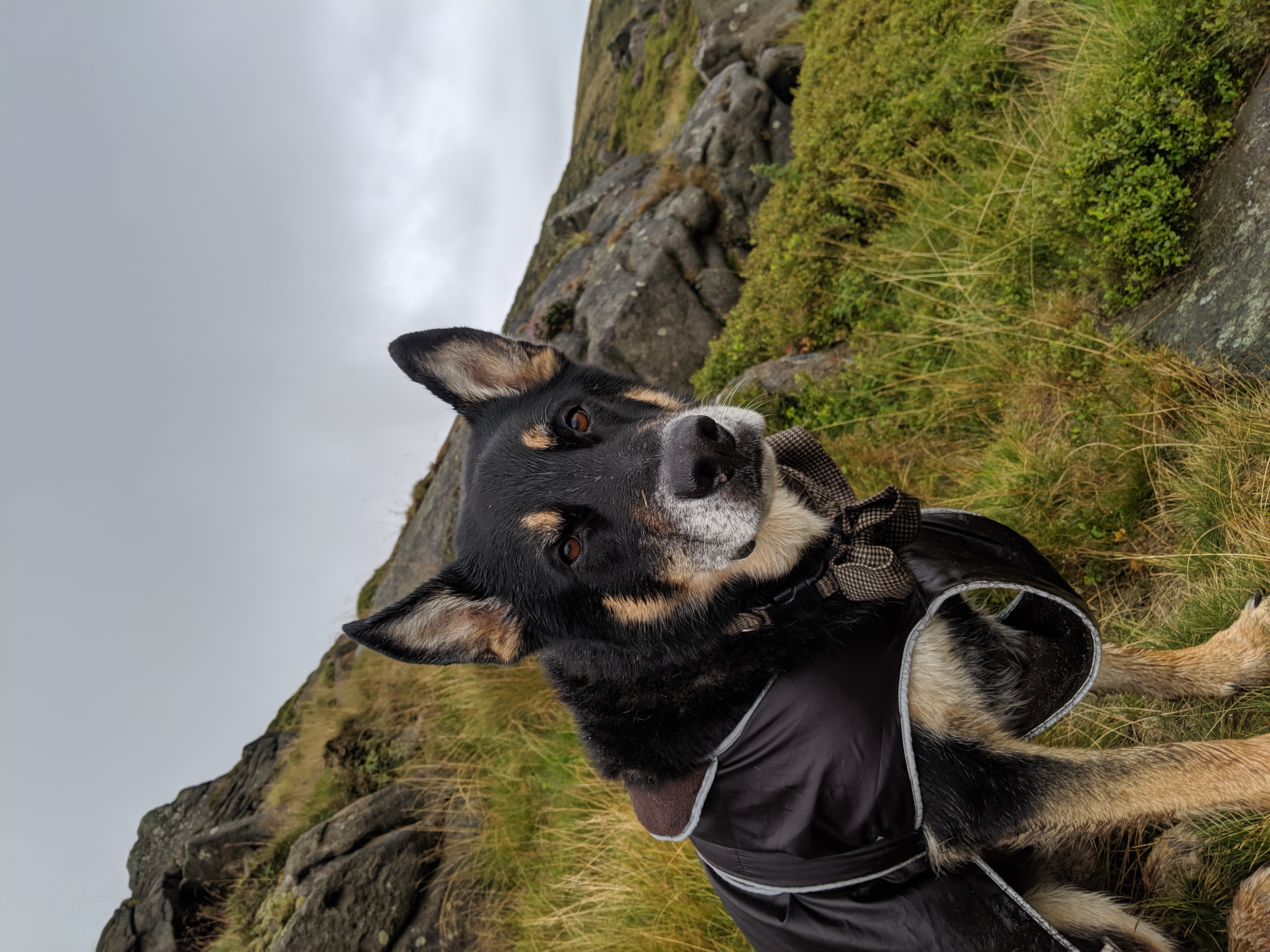 A Soggy Boy