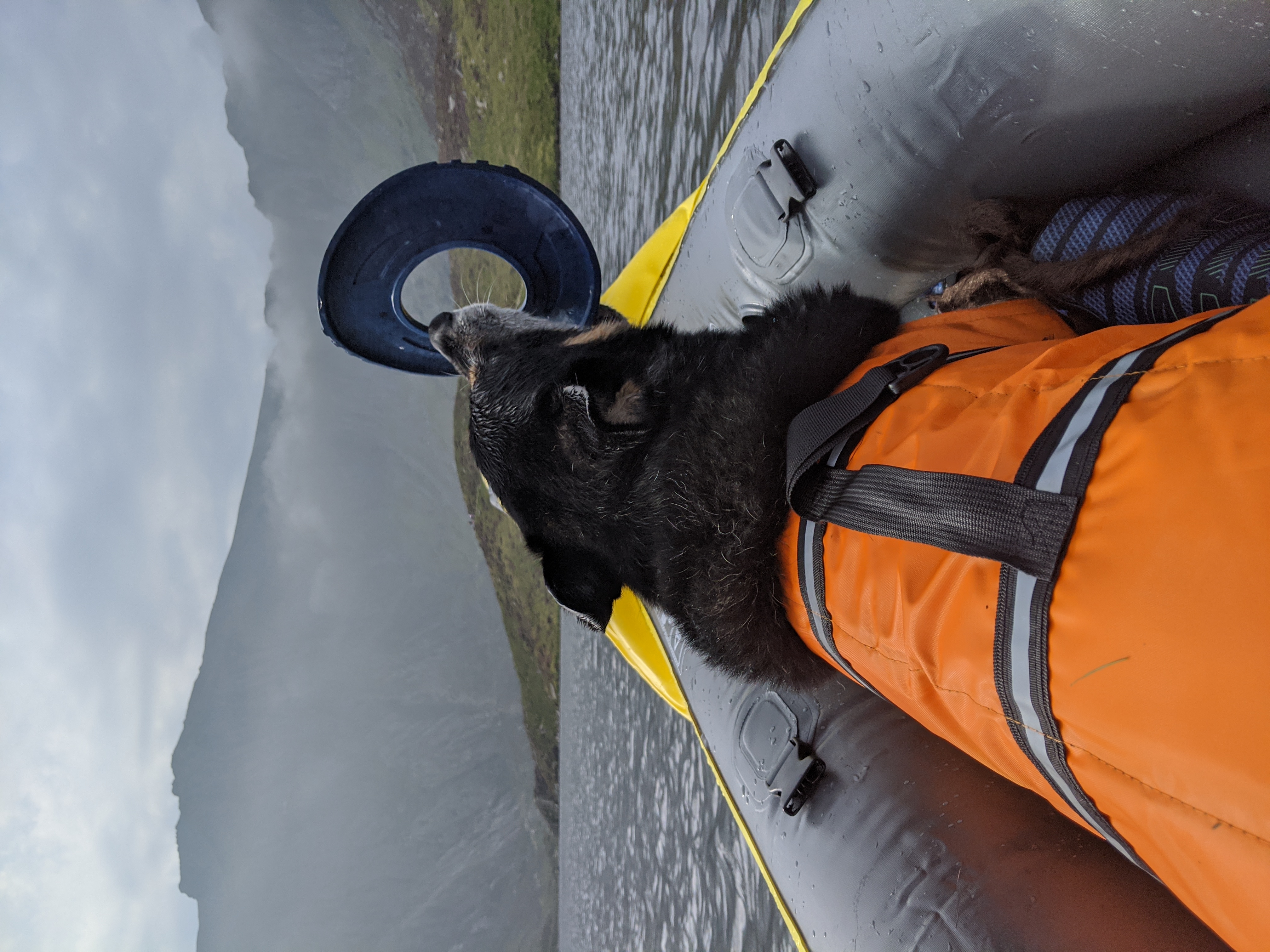Rex Kayaking