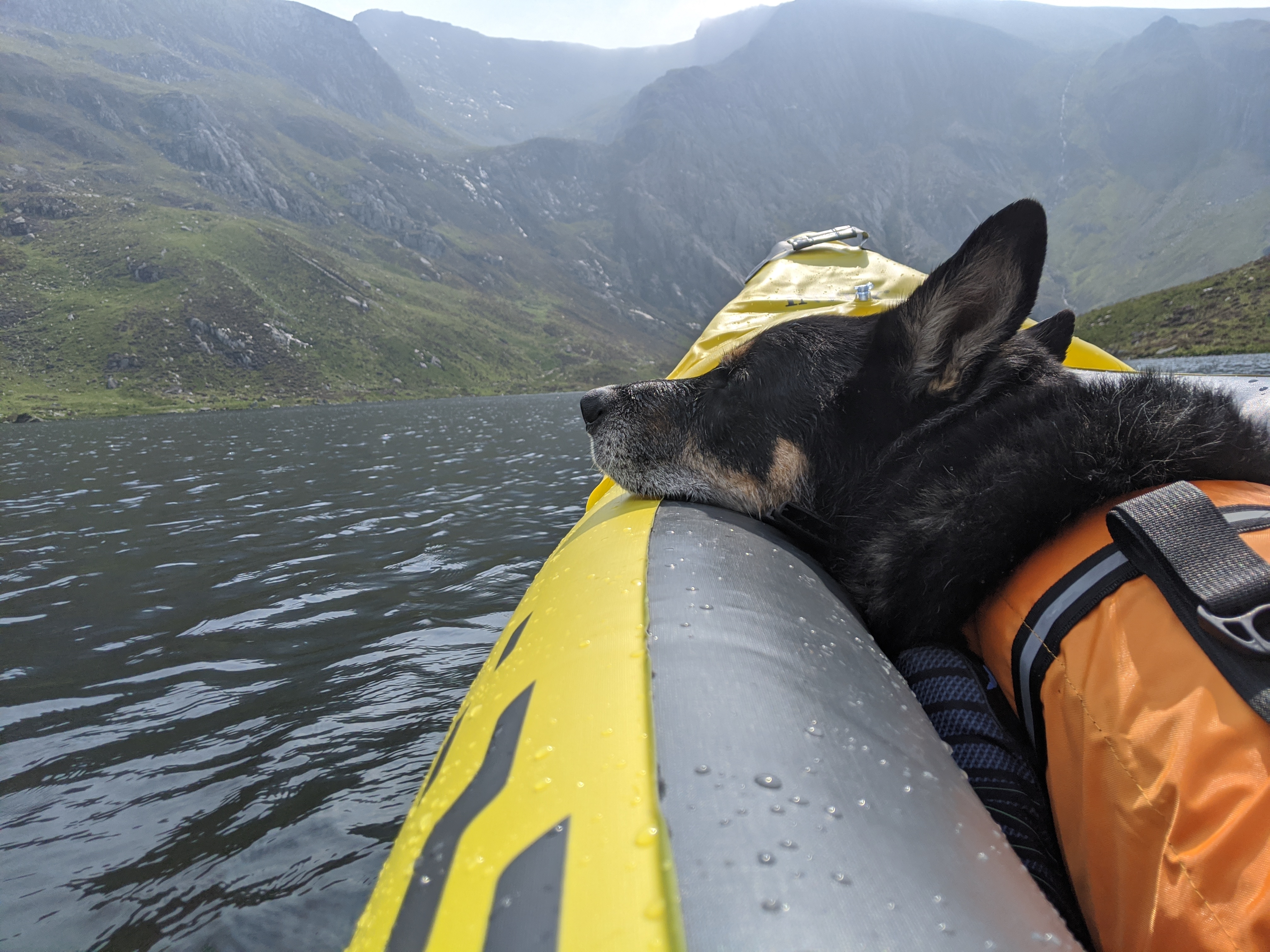 Rex kayaking