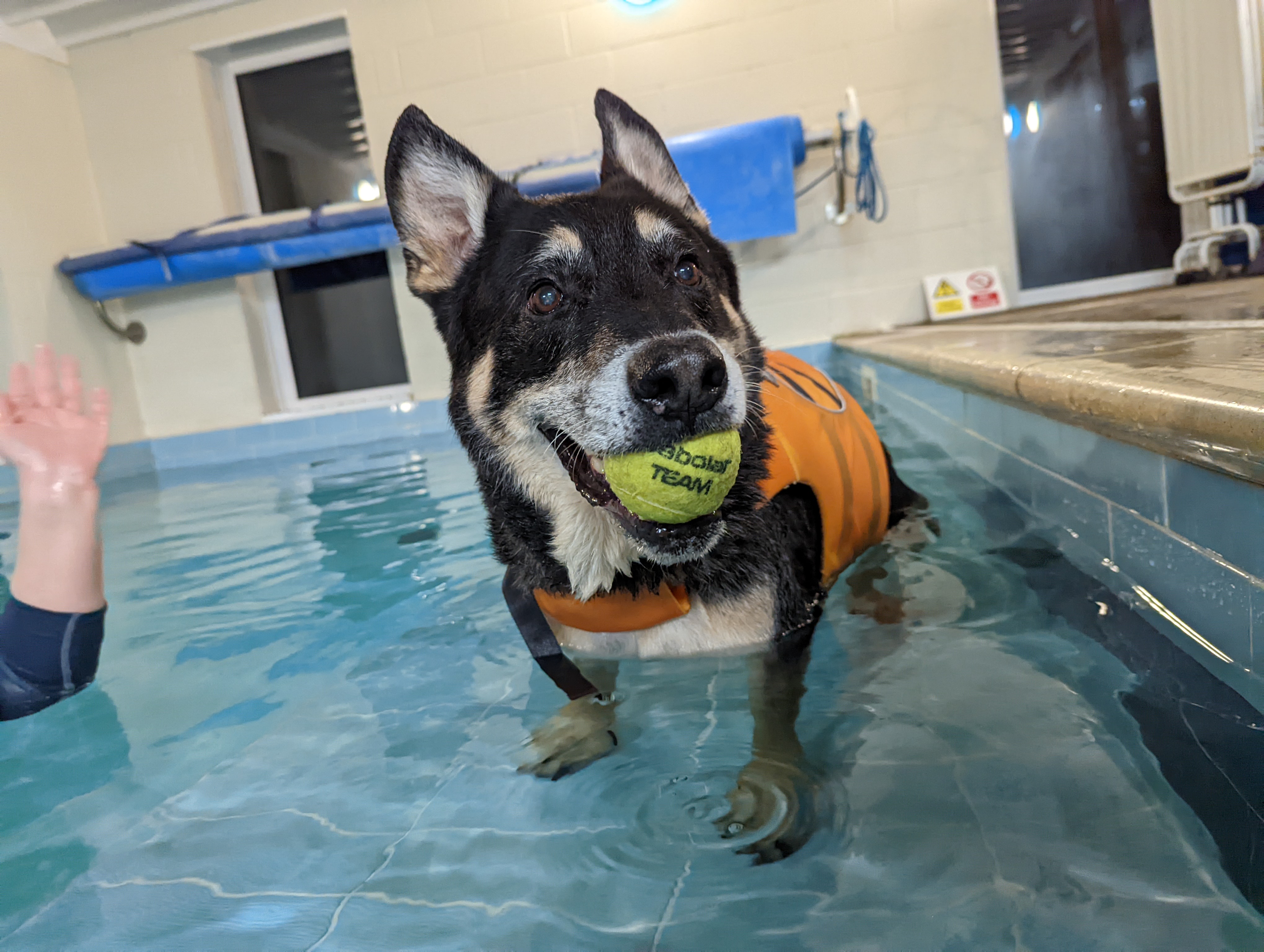 Rex Hydrotherapy