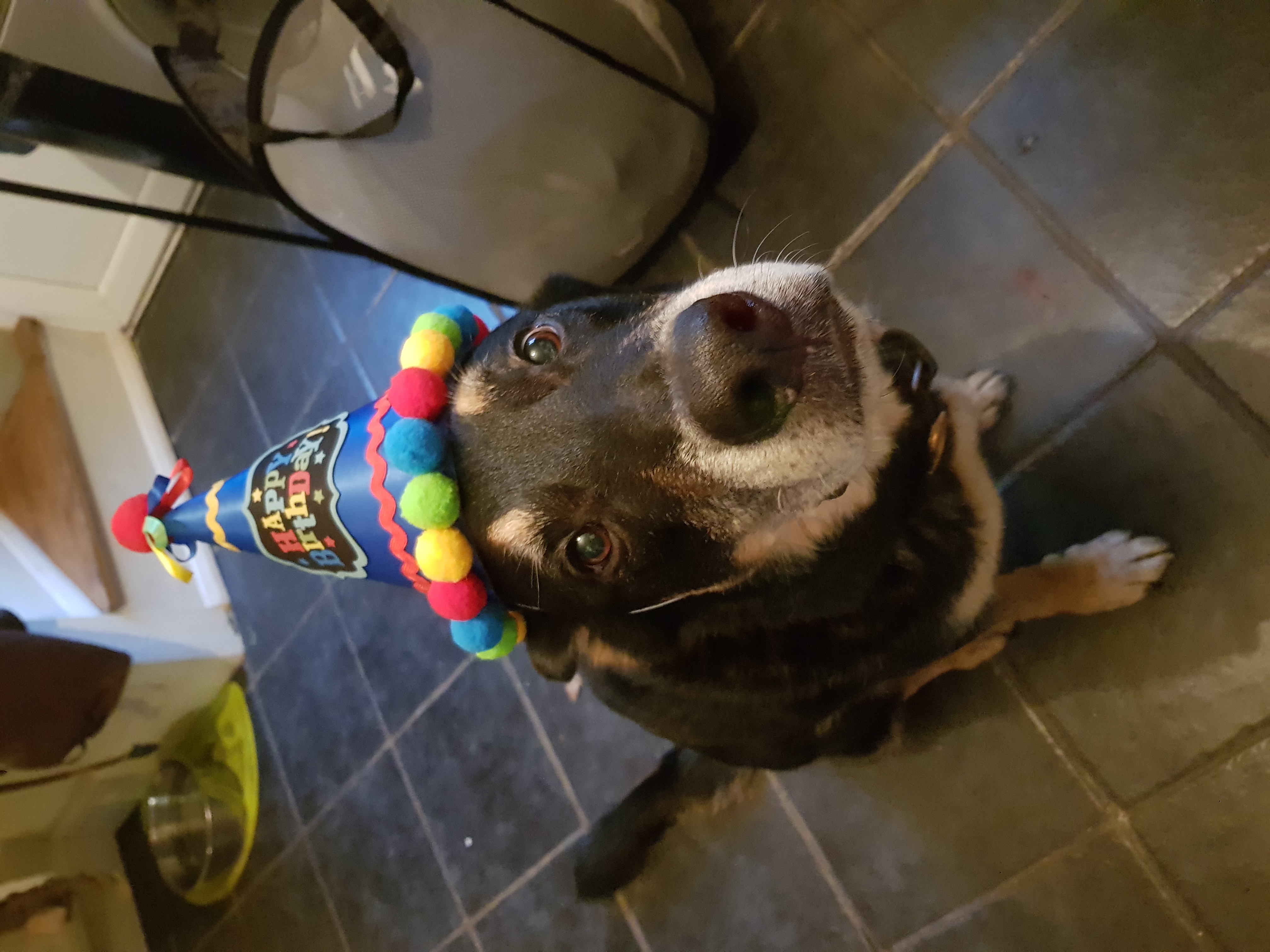 Birthday Boy